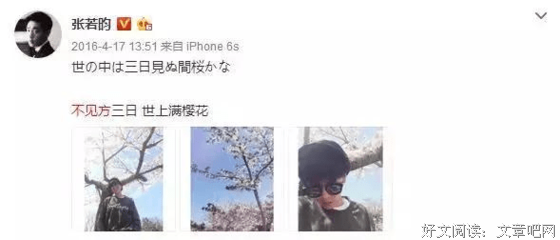 张若昀的优美句子
