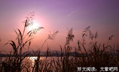 越没格局的人，越见不得别人好