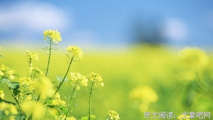 我想找回失去的东西的优美句子