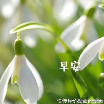 细读感伤——小说的优美句子
