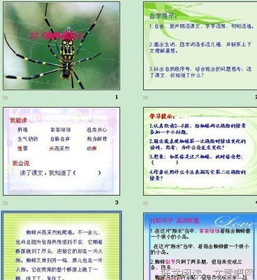 《蜘蛛侠：蓝》经典读后感有感
