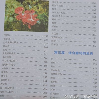 《世界边缘的秘密》的读后感大全
