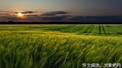 第二十二次别离读后感100字