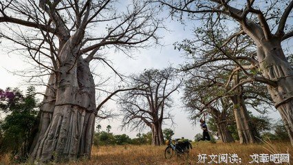 海上大教堂的读后感大全