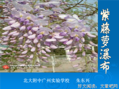 《孤独小说家》句子大全