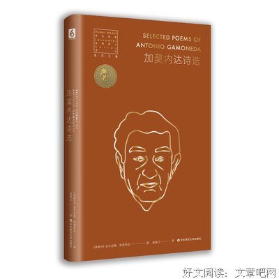 关于人类文明文化集的句子