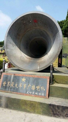 最经典的大小呆名言大全