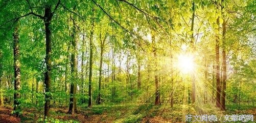 《相遇》经典语句