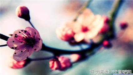 《离爱》经典名句