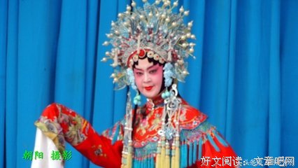 最全的《秦腔》小说书摘大全