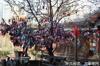 《嘻游记》影评100字