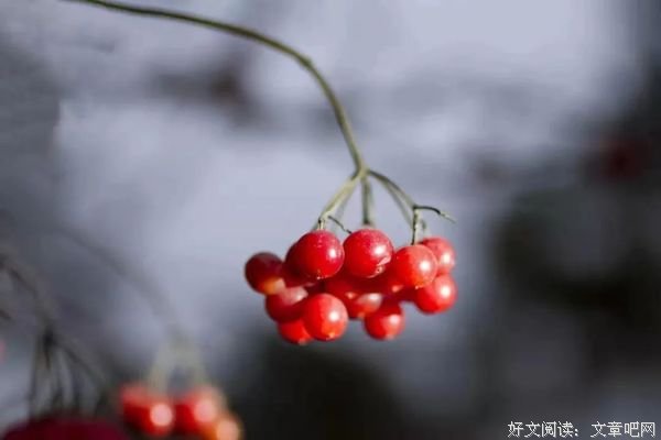 笑对生活，善待人生