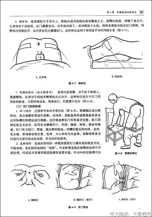《东京解剖书》读后感100字