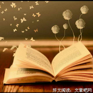 人生不设限：绽放更好的自己读后感精选
