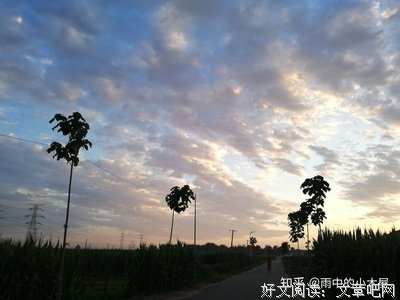上帝掷骰子吗？读后感100字
