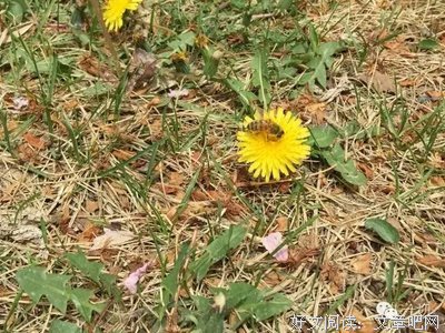 《历史学家的技艺》读后感锦集