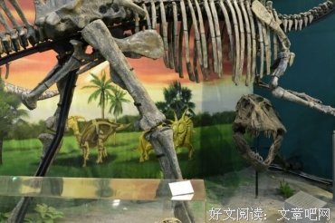 《千万不要跟着恐龙走》经典读后感有感