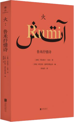 火：鲁米抒情诗读后感100字