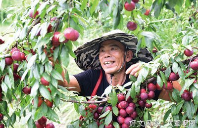 地道风物009·苏州读后感精选