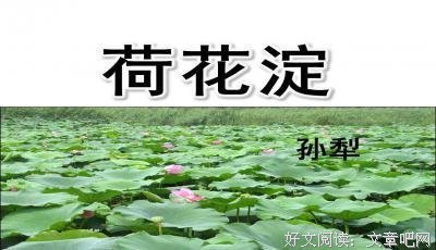 大自界年的盐分句子大全