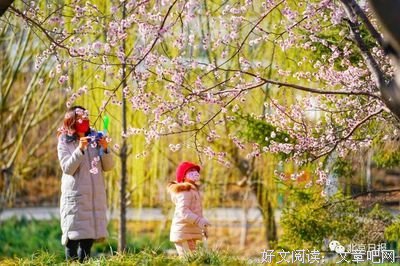 关于一人花开的句子