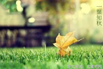 易心公子的句子