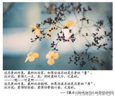 《为未知恋人的爱情短信》的句子
