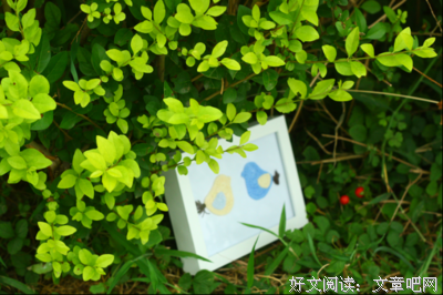 关于有关邵萝莉傅孤们之的优美句子