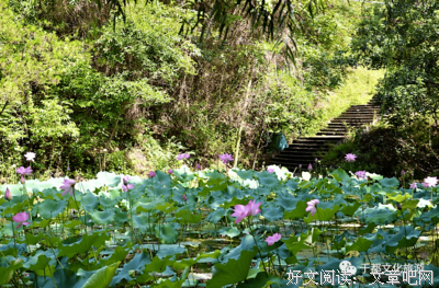 创的诗