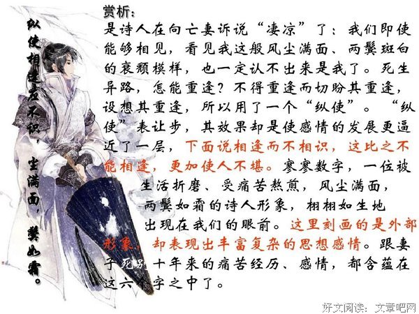 十年生死两茫茫，一朝黑发变白霜句子