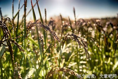 安偌染名言名句