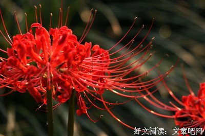 关于安染染名言