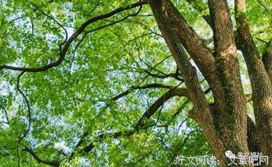 最新的《空城》语录摘抄