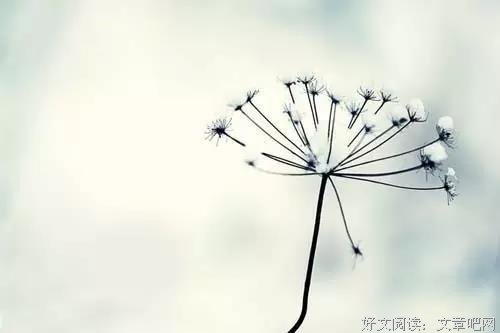 5个关于动物的寓言故事，读完沉默了，感悟太深！
