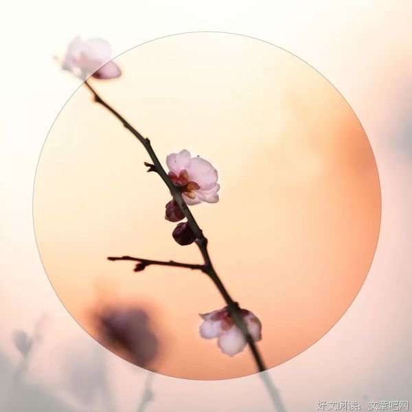 心态决定命运，心态决定一切