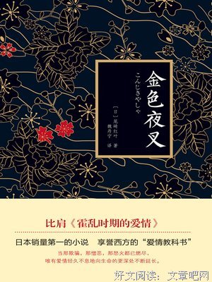 金色夜叉读后感精选