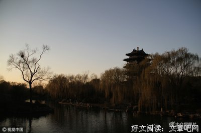 强风吹拂读后感锦集
