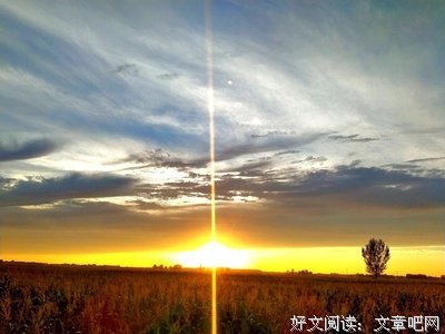 关于执迷不悟的名句摘抄