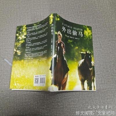 《外出偷马》读后感1000字