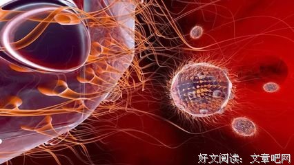 《BBC：细胞》好看吗？经典影评锦集