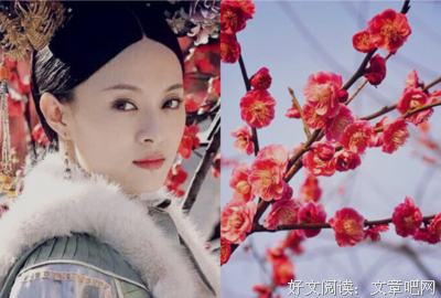 有关容易莫摧残的句子