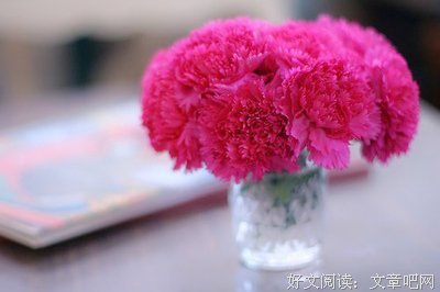 你想要的方向优美的句子