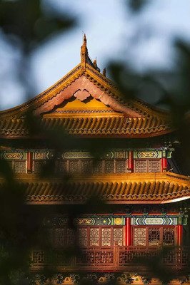 顾城经典的句子