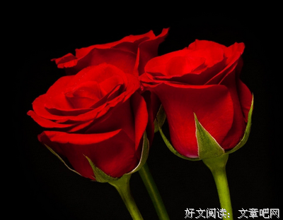 莎士比亚说经典的句子