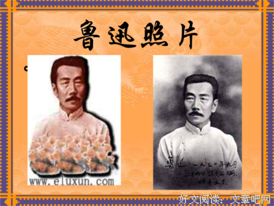 《寒星》的句子