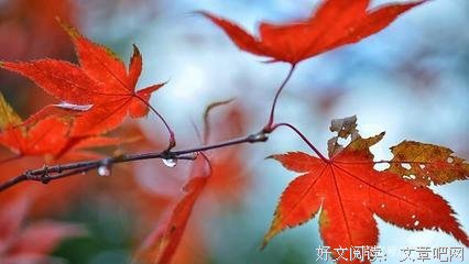 最全的《缺口》经典语录