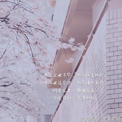 《花开》语录摘抄