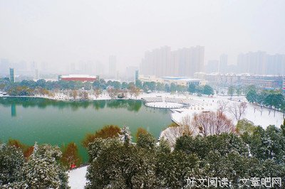 窦先生怀孕了。