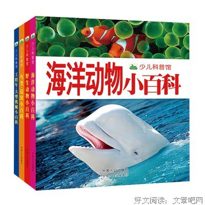 《手电筒看里面科普透视绘本》读后感摘抄