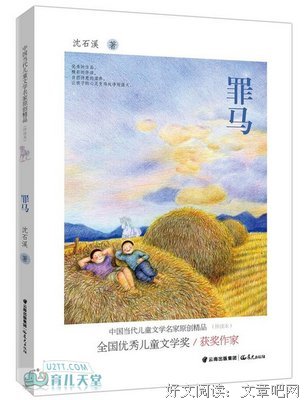 《马背上的朝廷》读后感1000字